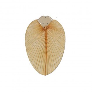 Jeu de Pales Palme Naturelle 132cm 19901