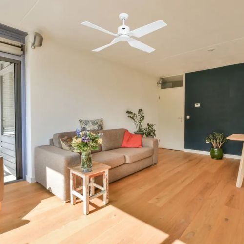 Salon lumineux avec plafond élevé et ventilateur blanc au centre; canapé beige, table basse en bois et plantes d'intérieur.