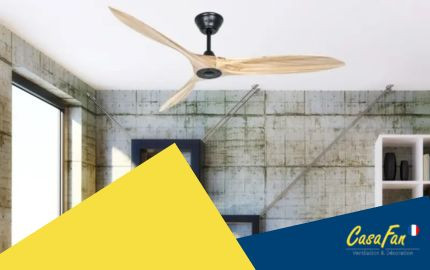 Le rôle clé du ventilateur de plafond pour rester au frais sans climatisation pendant la canicule Le rôle clé du ventilateur de plafond pour rester au frais sans climatisation pendant la canicule